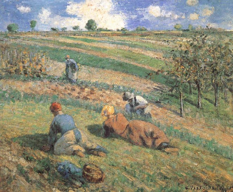 Camille Pissarro Field work oil painting picture